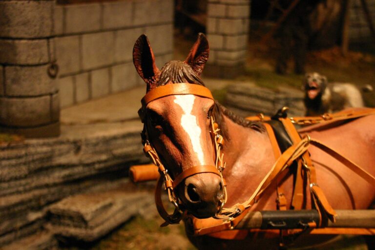 Presepio dei Frati, Natale 2007: Il mondo contadino, foto 6