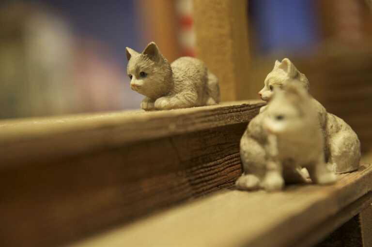 Presepio dei Frati, Natale 2011: Venezia, foto 15