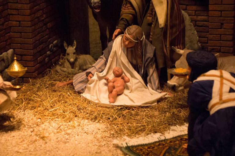 Presepio dei Frati, Natale 2016: Conegliano, foto 3