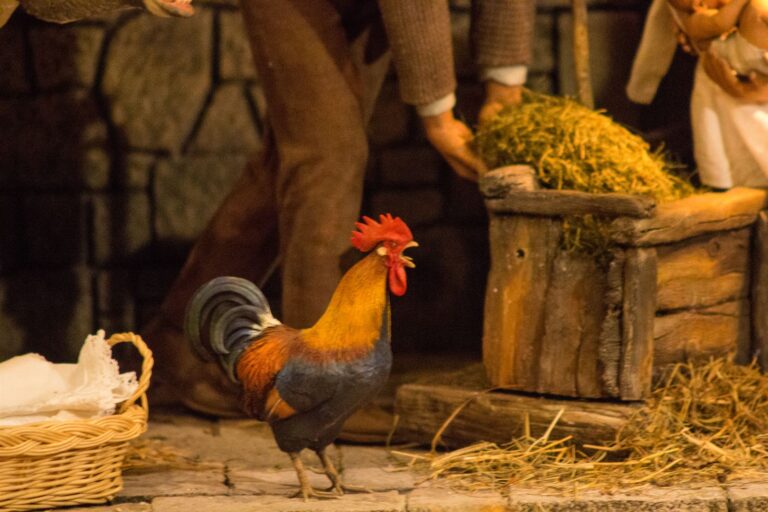 Presepio dei Frati, Natale 2018: La fattoria, foto 10