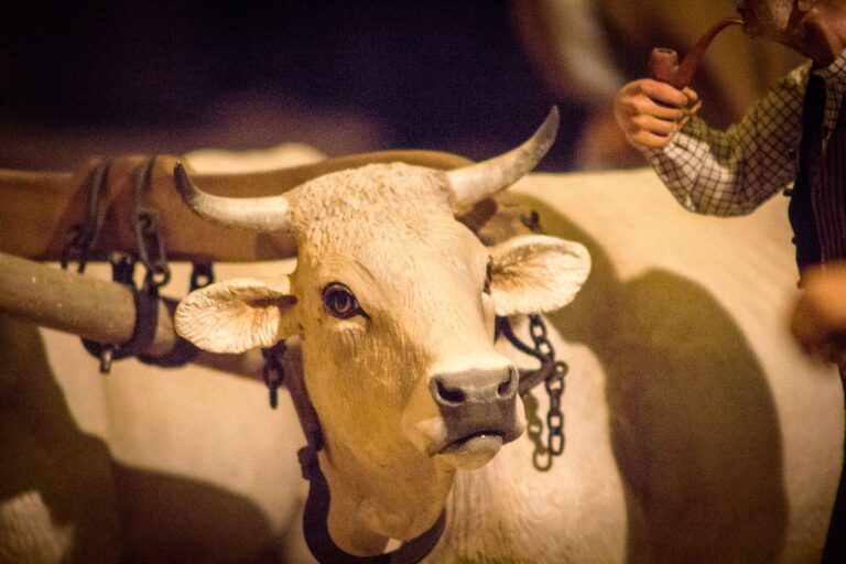 Presepio dei Frati, Natale 2018: La fattoria, foto 11
