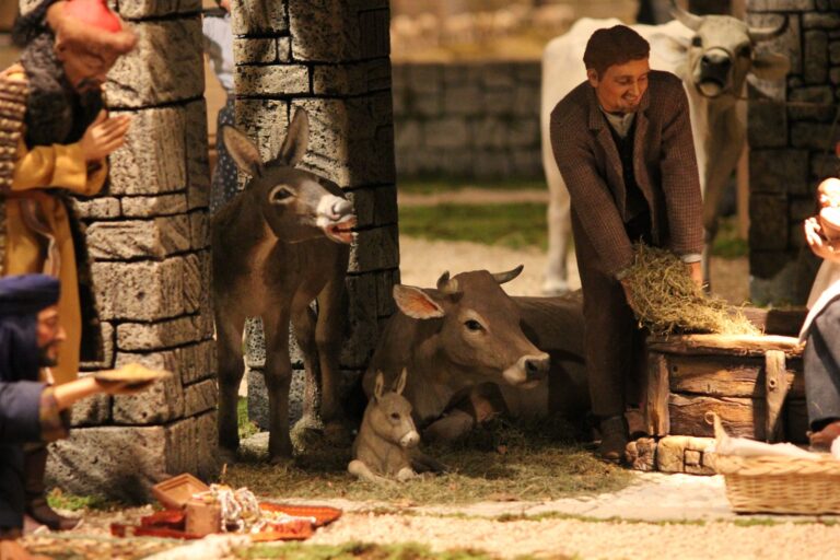 Presepio dei Frati, Natale 2020: Il borgo rurale, foto 5