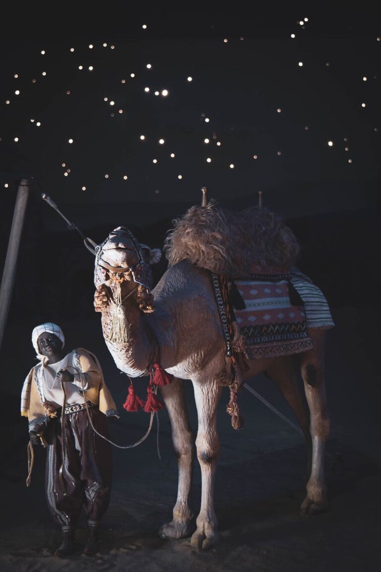 Presepio dei Frati, Natale 2022: Il deserto, foto 8