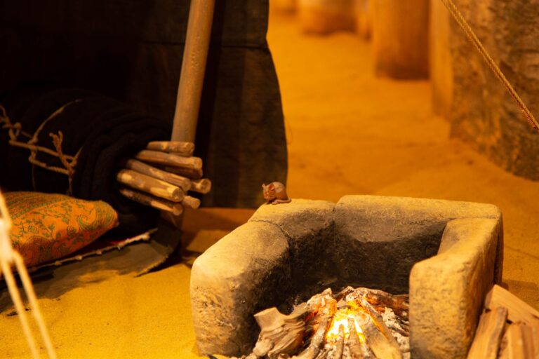Presepio dei Frati, Natale 2022: Il deserto, foto 13